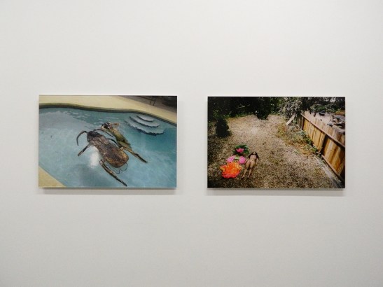 BWP_IssuedID-Minority-as-Brand_2016_001_1200px