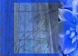 A layered collage in saturated blue tones combines a close-up flower with a bee, a lace-curtained window, tangled grasses with small red blossoms, and a loose line drawing of a reclining human figure. Translucent overlaps create a dreamlike composition that blends interior space, nature, and the body