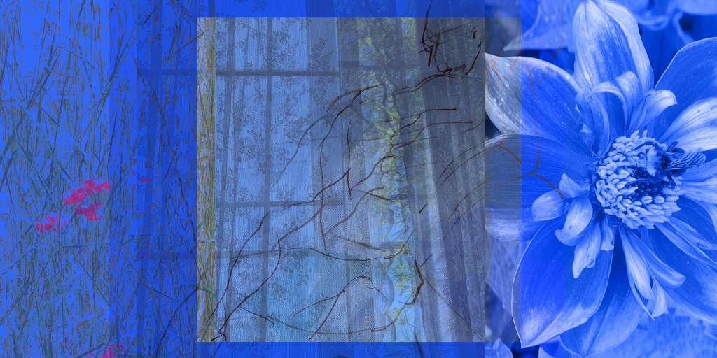 A layered collage in saturated blue tones combines a close-up flower with a bee, a lace-curtained window, tangled grasses with small red blossoms, and a loose line drawing of a reclining human figure. Translucent overlaps create a dreamlike composition that blends interior space, nature, and the body.